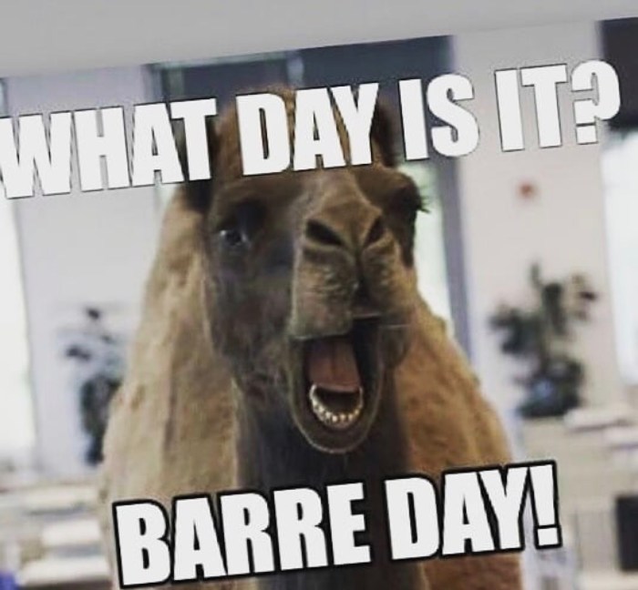 Barre Quotes to live by